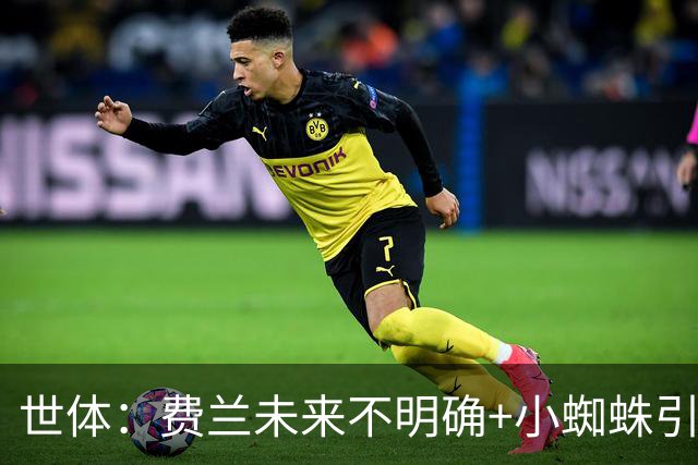 世体：费兰未来不明确+小蜘蛛引援未定，DV9再次进入巴萨视野