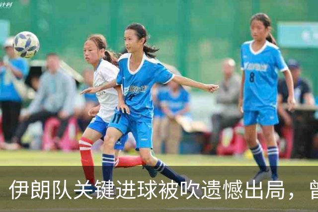 伊朗队关键进球被吹遗憾出局，曾任教哈佛大学的伊朗学者向FIFA索赔10亿美元